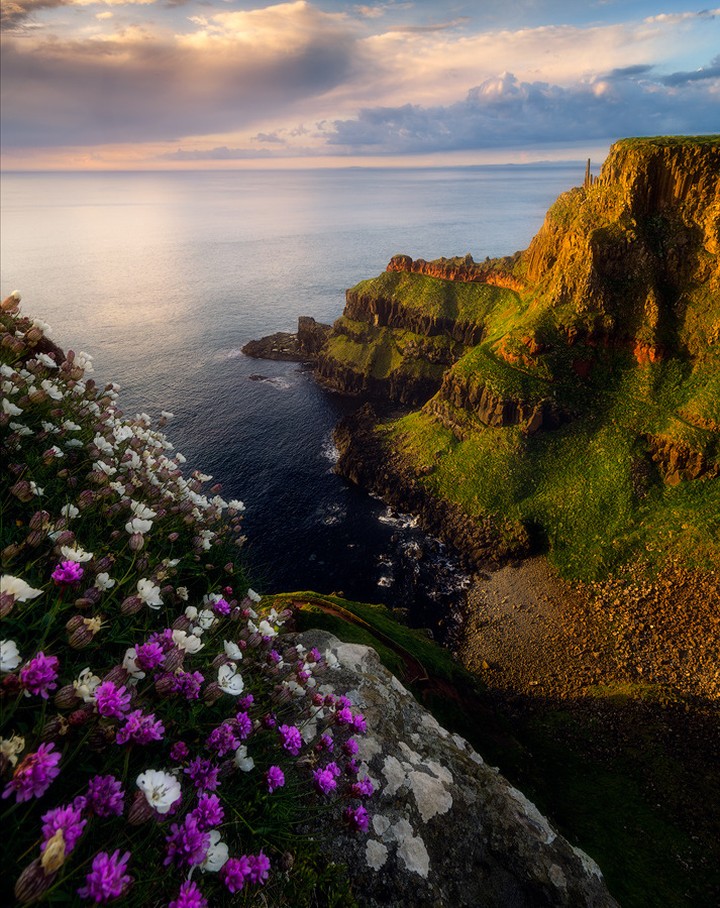 Picture yourself standing here on a warm summer's day. The floral scent of blossoming flowers and the serene lapping of the waves as you stare out, past the jagged cliffs, onto the ocean. How perfect does this sound? 📍Giant's Causeway, Co. Antrim 📸 @rafalrozalskiphotography