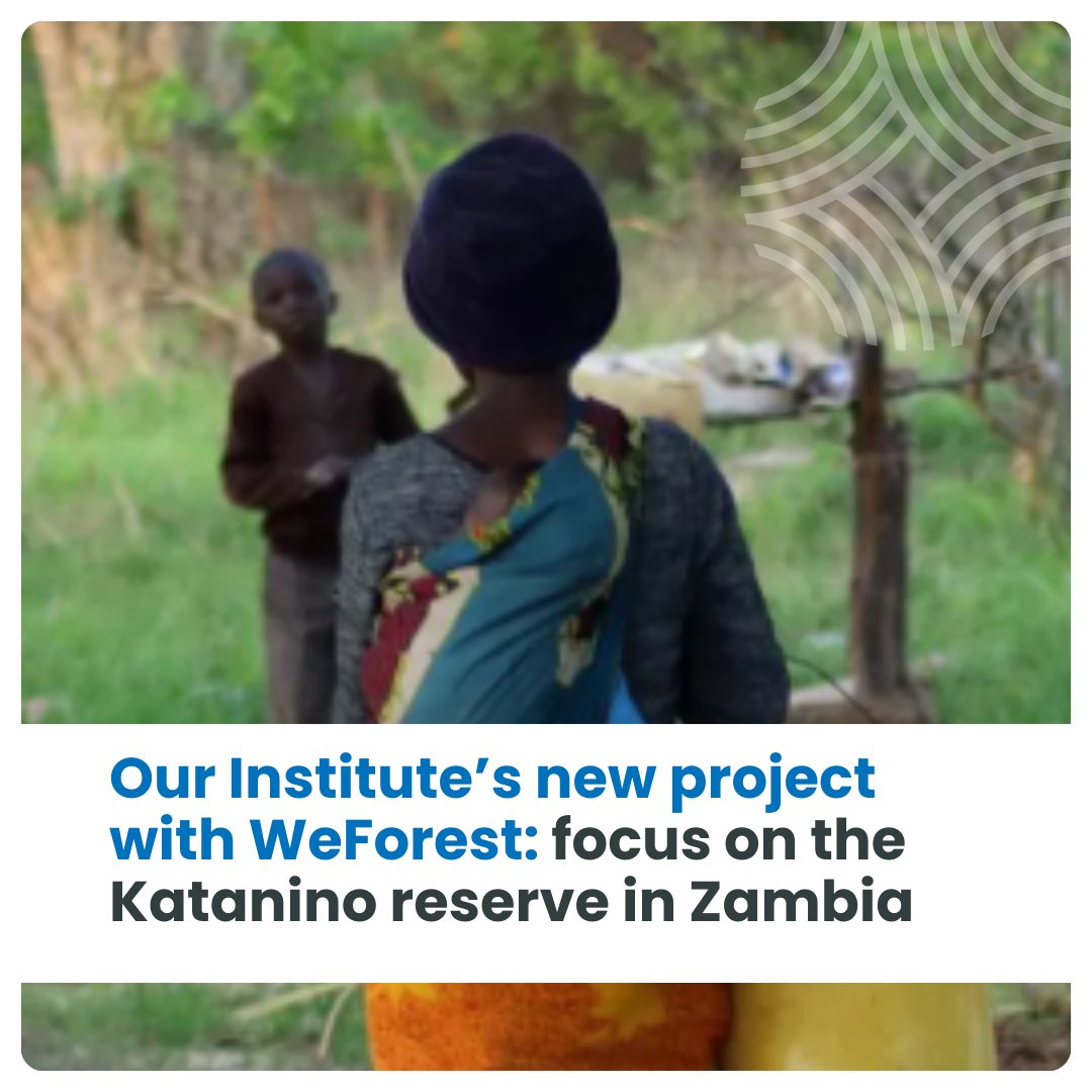 Candriam Institute for Sustainable Development partners with @WeForest_org for a crucial #Reforestation project. Learn how we're making a difference in Zambia: 🔗 institute.candriam.com/news20240415-o… #Investing4Tomorrow #Sustainability