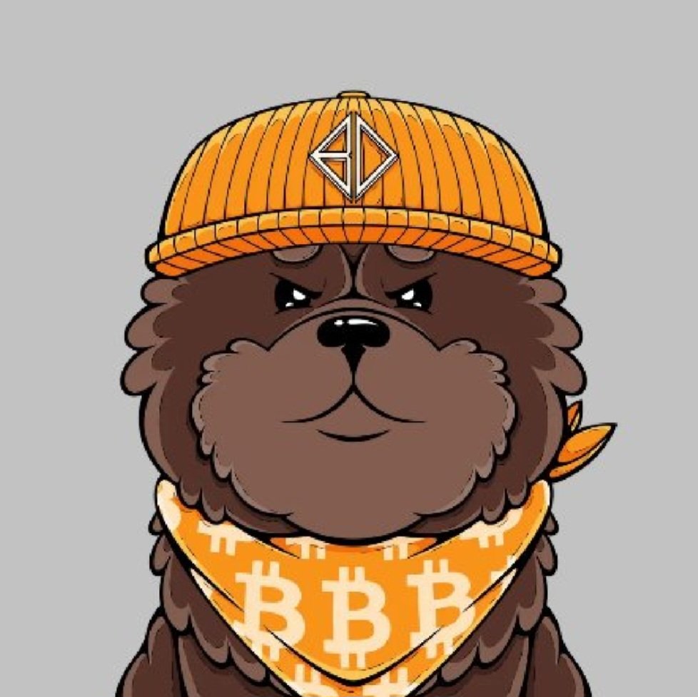 OGDAD__'s tweet photo. Congrats to @bitdogs_btc on minting out a 10k collection.
Turns out that you can not keep a good dog down!
#senddogs #oxbt https://t.co/vgfFb9S0ZP
