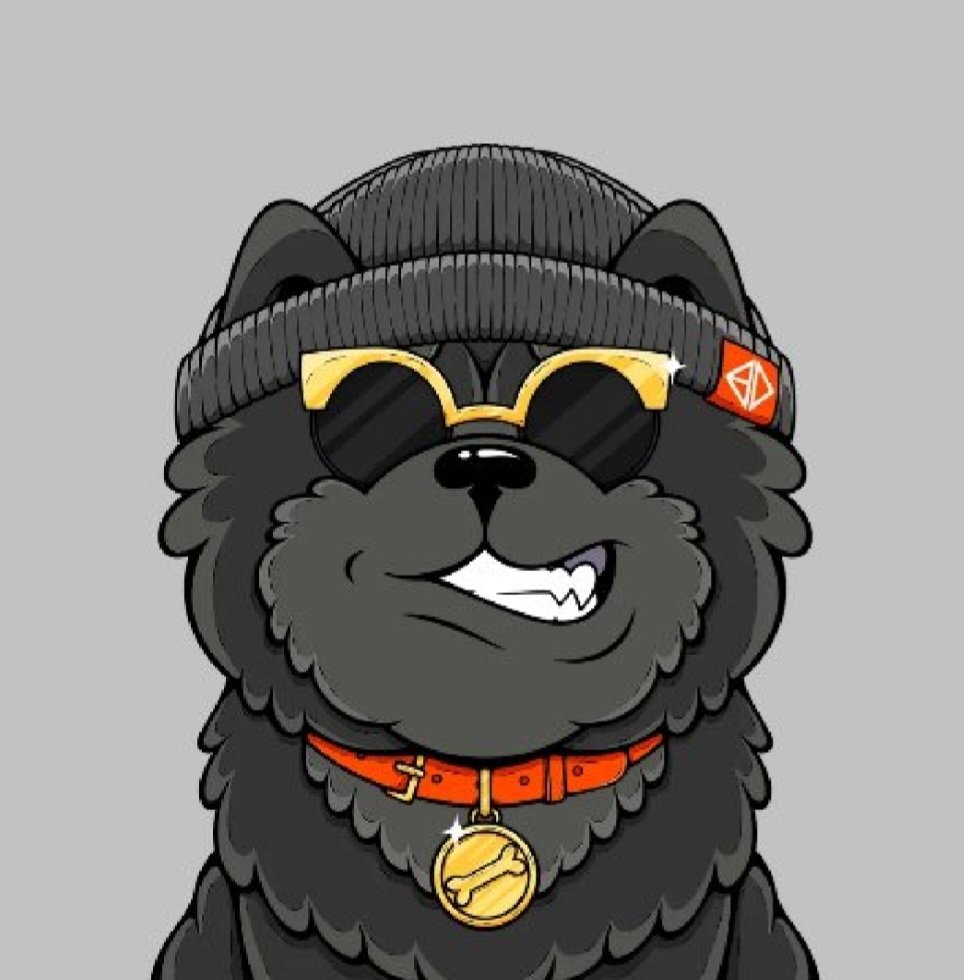 OGDAD__'s tweet photo. Congrats to @bitdogs_btc on minting out a 10k collection.
Turns out that you can not keep a good dog down!
#senddogs #oxbt https://t.co/vgfFb9S0ZP
