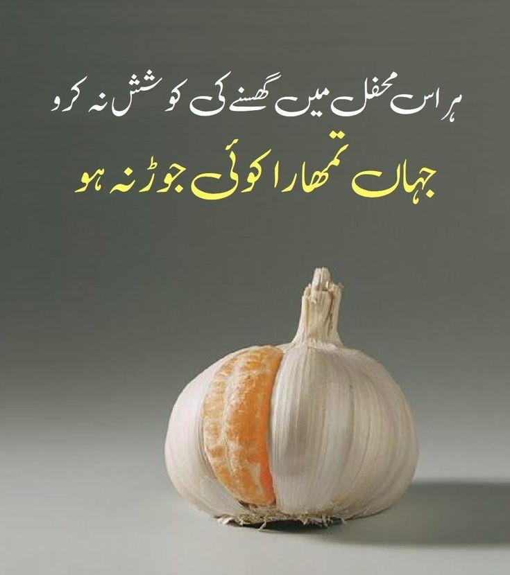 Munawar1613's tweet photo. اسلام علیکم ورحمتہ اللہ وبرکاتہ.صبح بخیر https://t.co/AW4b4zDMex