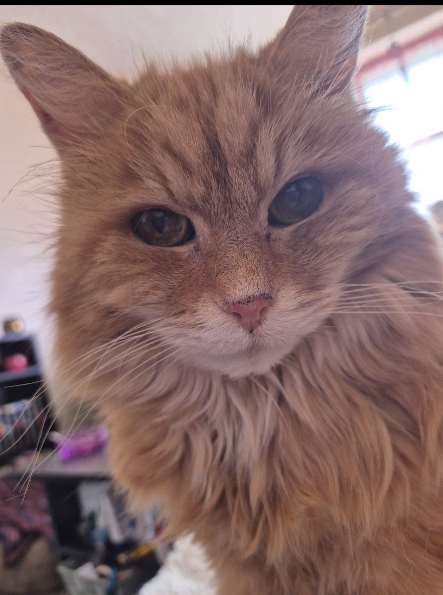 RED'S JEWELS tweet media