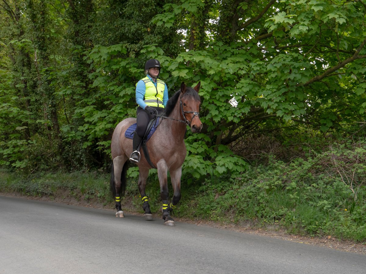 Ride a horse? We would like to use photos of local riders wearing protective clothing and hi-vis 🐎  If you can assist, please get in touch at saferroadusers@kent.gov.uk

#KentRoadSafety #HorseSafety #HorseRoadSafety