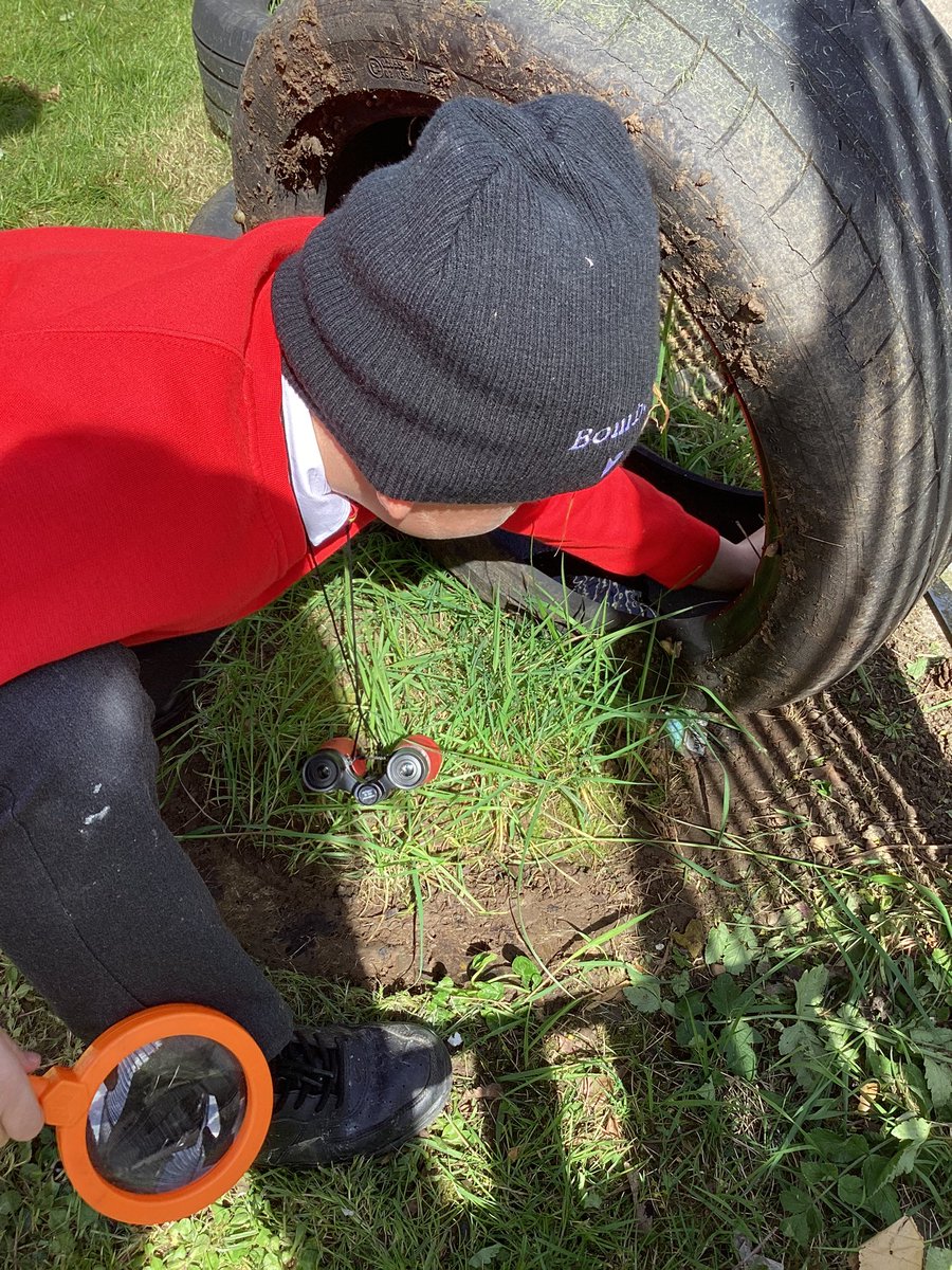 #santesdwynwen went on a minibeast hunt #outside @muddyfaces @EcoSchoolsWales @WoodlandTrust