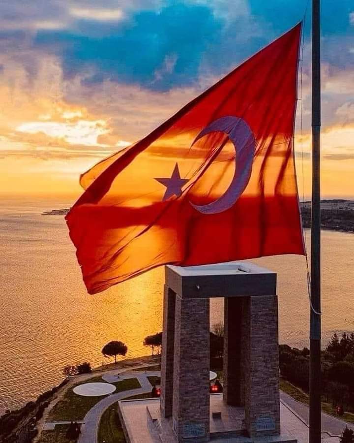 Kale.17.cem 17. (@kale1700644113) on Twitter photo 