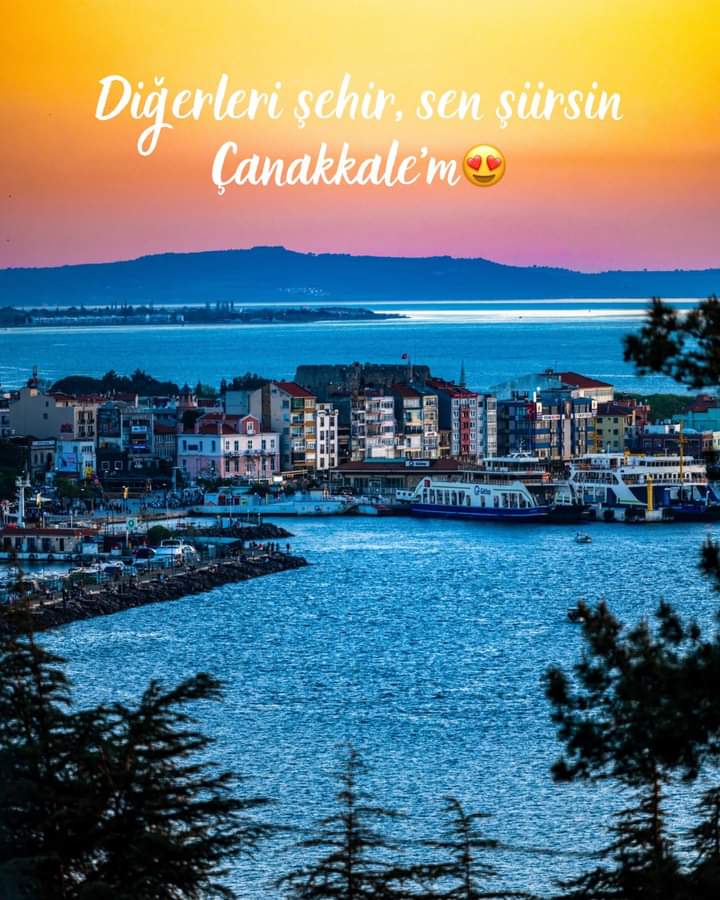 Kale.17.cem 17. (@kale1700644113) on Twitter photo 