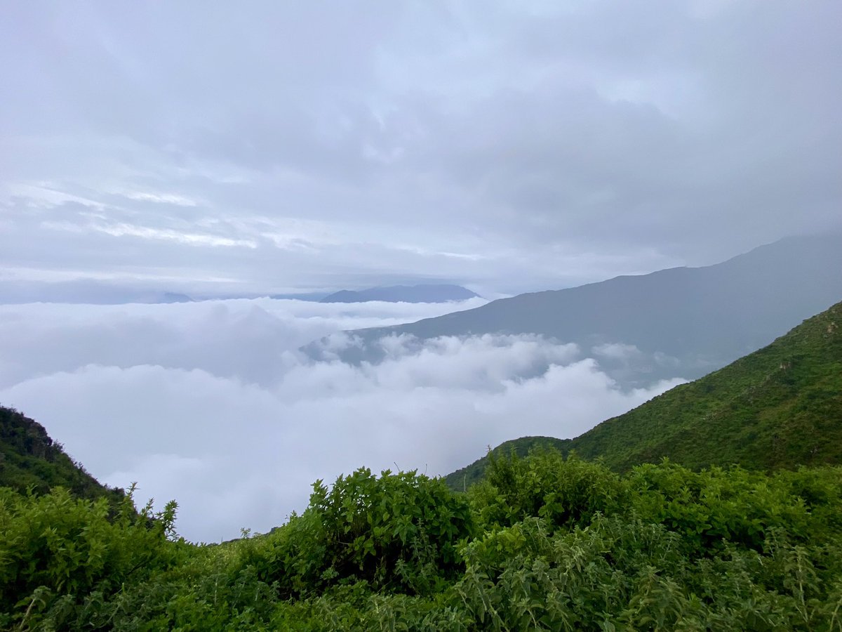 KaipachaE's tweet photo. Can you imagine arriving at an ancient citadel at more than 3,800 meters above sea level and seeing the horizon and being above the clouds, this amazing citadel is Rupac, the kingdom of the Atavillos.#peru #lima #rupac #trekking #hiking #adventure #explore #travel #travelblog https://t.co/reAexyli8E