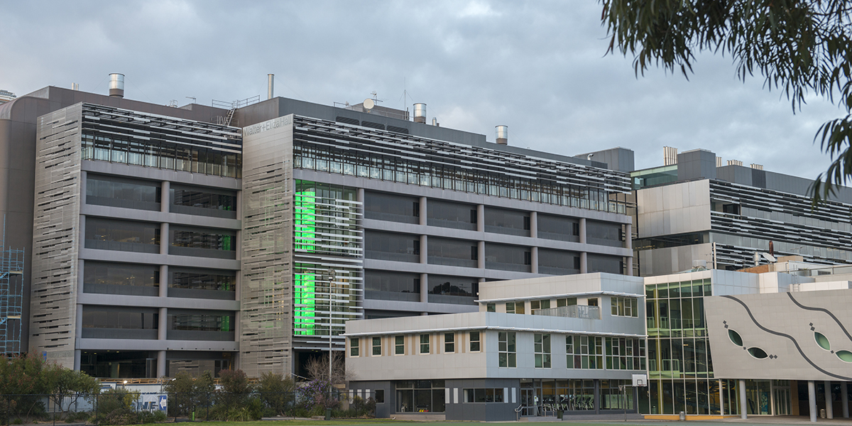 An excellent opportunity is available for an experienced advancement/philanthropy services professional to join our Fundraising and Philanthropy (F&P) Department. 🗓️Applications close May 15 2024 For more information 👉 wehi.wd3.myworkdayjobs.com/WEHI/job/Eliza…