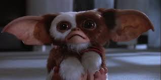 Having Elmo's truck buyers describe the vehicle as a 'gremlin' is the funniest thing I've ever heard. And just in case, when they say 'gremlin' they don't mean the AMC Gremlin, they mean a Mogwai, where you can't feed it after dark or expose it to direct sunlight. This thing: