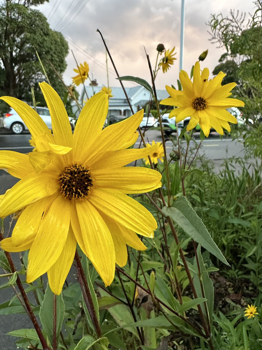 Vaughn Davis (@vaughndavis) on Twitter photo 