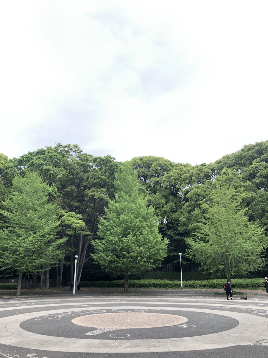 #イマソラ
雲空/pm/☁️代々木公園-お散歩