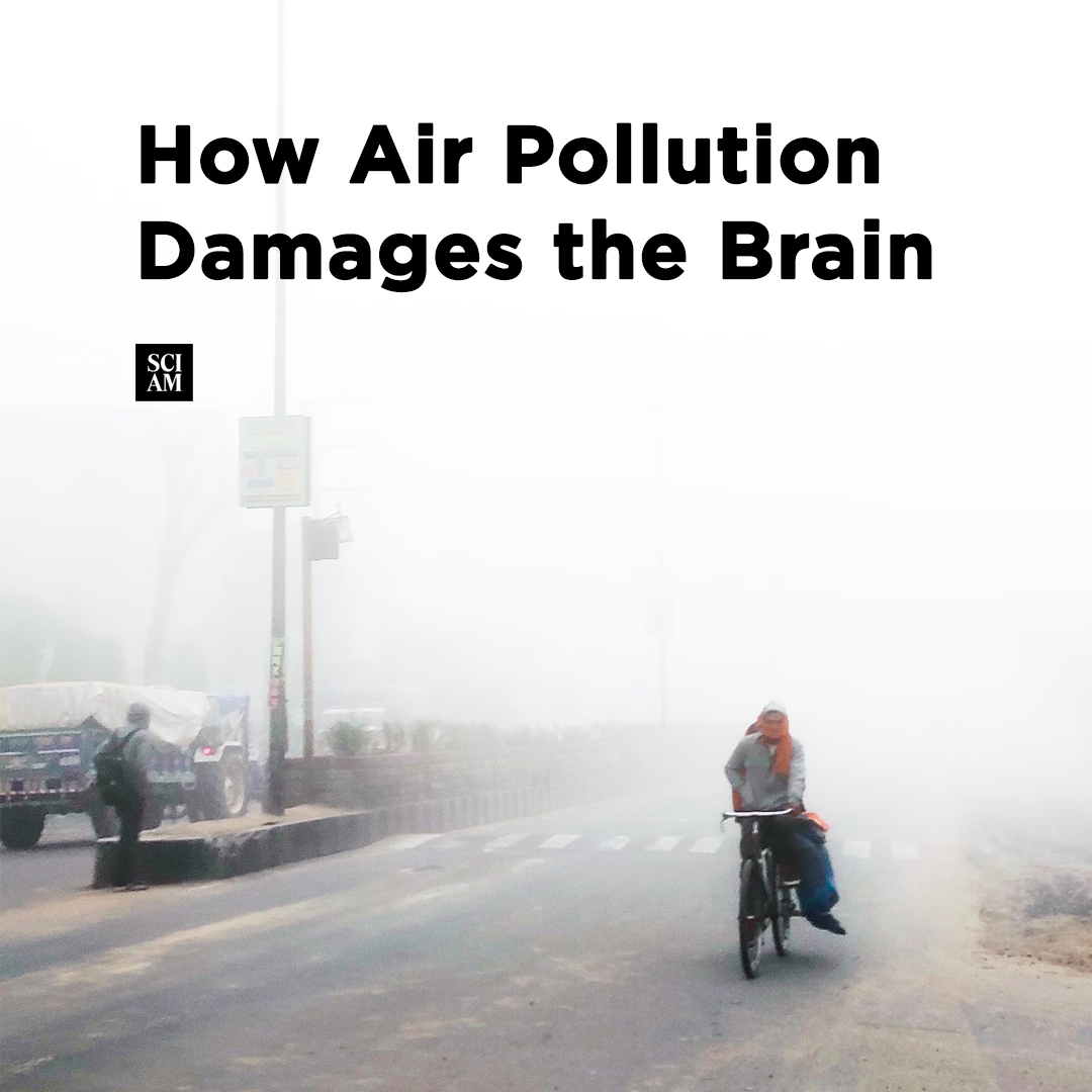 #HYST?
The emerging field of 'exposomics' reveals the intricate link between #airpollution and a spectrum of brain disorders, including #Alzheimer’s, #Parkinson’s, #bipolardisorder, and more.

More: scientificamerican.com/article/what-i…