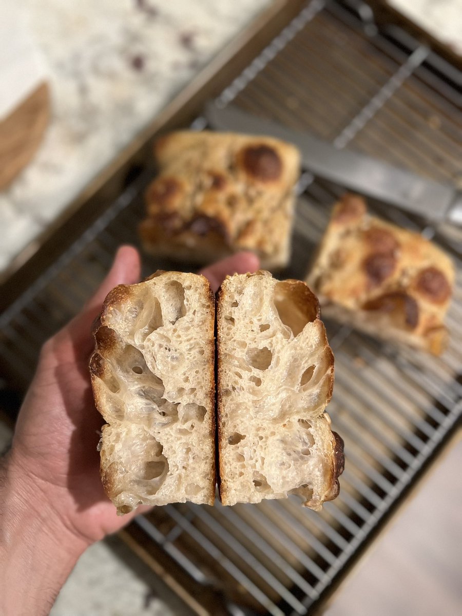 nichtszusehenn's tweet image. نگین ۲ روز پیش هوس فوکاچا کرده بود، امروز آماده شد ✊🏼🤓#IYKYK

White Sourdough Focaccia
with oregano, rosemary, and sunflower seeds
85% Hydration 
42 Hours - Total Fermentation

#RealBread
#Sourdough
#Focaccia
#23Cafe
#خمیرترش