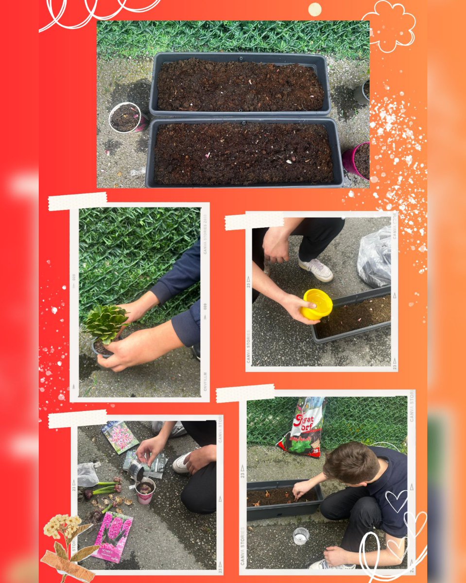 IhlMaltepe's tweet photo. Mart ayı #etwinning projemiz kapsamında uygulama atölyeleri düzenlendi. #beesareourfriends @tcmeb @mebyegitek @meb_dinogretimi @tretwinning @eTwinning_ist @istanbulilmem @ist_mem_din @maltepemem34 #meb #mebyegitek #etwiningproject #etwiningtürkiye #etwinningeurope https://t.co/CEpg5WG6VL