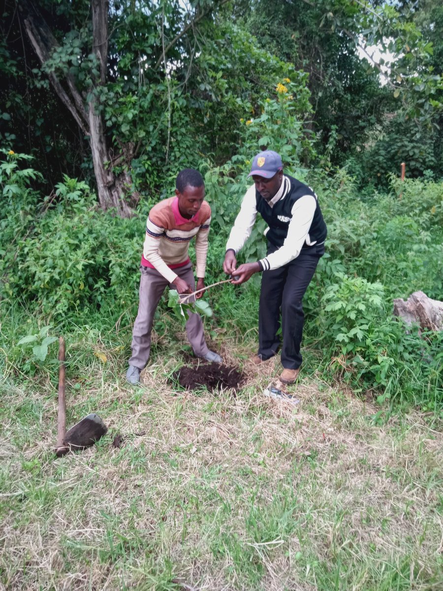 JKijibe1's tweet photo. Forest play a crucial role in maintaining the health of our planet and supporting life. We should always conserve it and protect at all cost.
#ClimateActionNow 
#Forestconservation https://t.co/4c9lTjeCXw