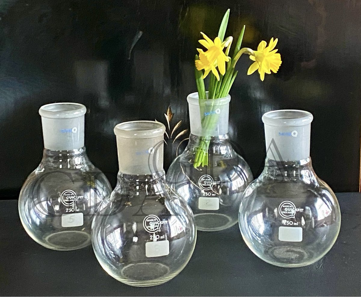 Good morning #EarlyBiz 
Four quirky vintage laboratory jars, 250ml. 
£10 each plus p&p. 
See them and more at,
Dieudonneart.com/antiques

#elevenseshour #vintage #collectables #chemistry #glass #interiors #shopindie #Easter #reuse #bizhour #smartsocial #CraftBizParty