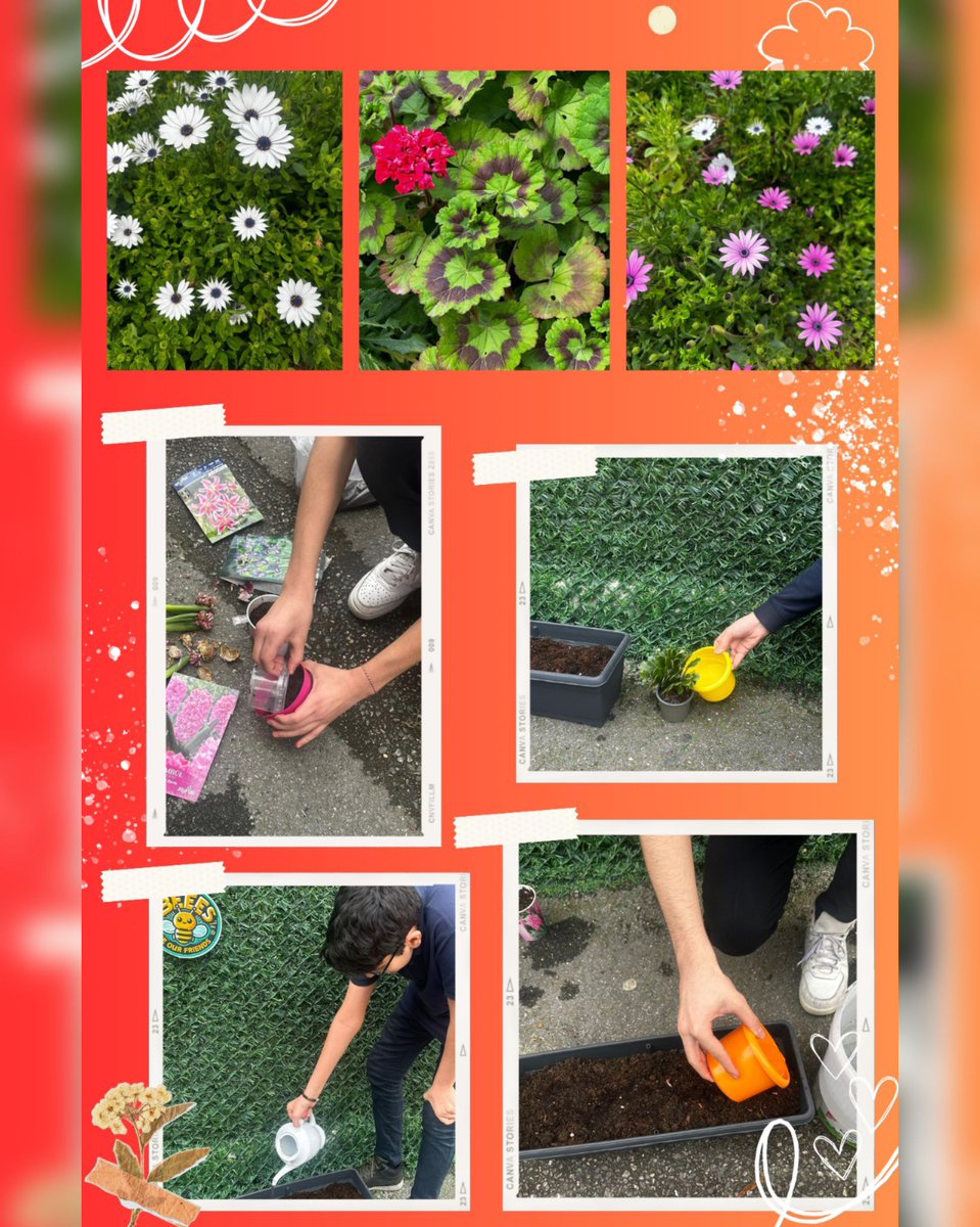 IhlMaltepe's tweet photo. Mart ayı #etwinning projemiz kapsamında uygulama atölyeleri düzenlendi. #beesareourfriends @tcmeb @mebyegitek @meb_dinogretimi @tretwinning @eTwinning_ist @istanbulilmem @ist_mem_din @maltepemem34 #meb #mebyegitek #etwiningproject #etwiningtürkiye #etwinningeurope https://t.co/CEpg5WG6VL