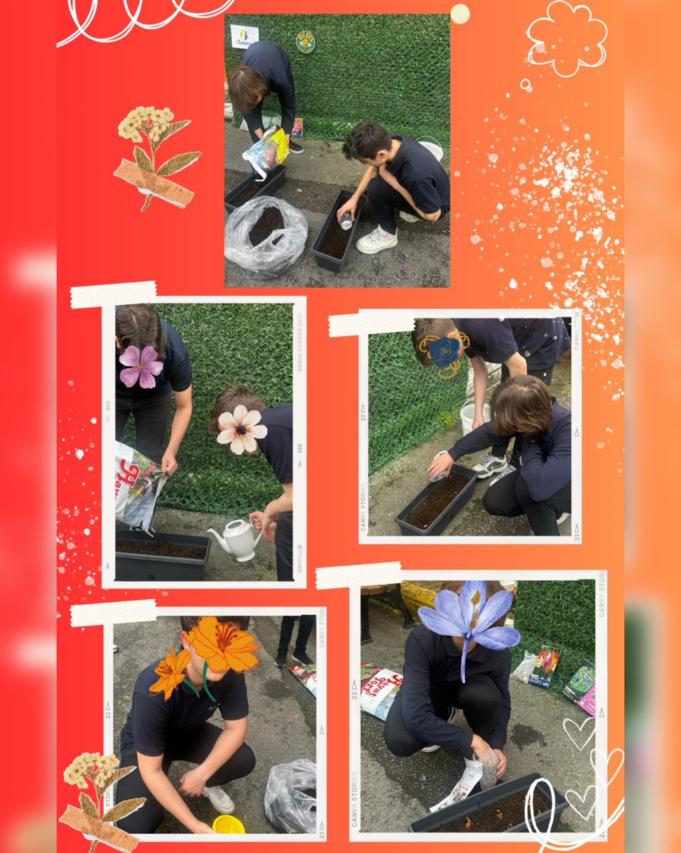 IhlMaltepe's tweet photo. Mart ayı #etwinning projemiz kapsamında uygulama atölyeleri düzenlendi. #beesareourfriends @tcmeb @mebyegitek @meb_dinogretimi @tretwinning @eTwinning_ist @istanbulilmem @ist_mem_din @maltepemem34 #meb #mebyegitek #etwiningproject #etwiningtürkiye #etwinningeurope https://t.co/CEpg5WG6VL
