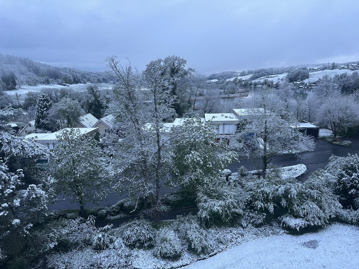 dockweiler69's tweet photo. Die Rache des Bööggs ❄️☃️ https://t.co/teVhHkLADH