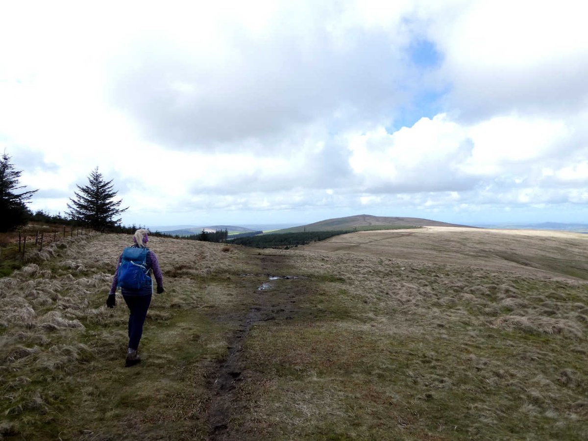 Mark Horrell 🗻 tweet media