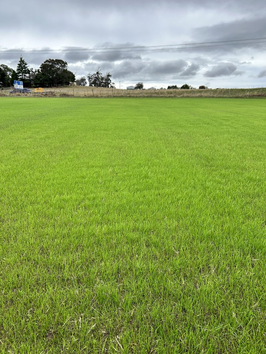 David Squibb (@dsquibb2312) on Twitter photo “dry sowing” a new #Custom #pasture #blend just before Easter. 25mm+ #rainfall 3 days later, and the #germination has been impressive after 3 weeks. #ryegrass #cocksfoot #clover for #beef and #lamb #grazing <a href="/swseedcompanyau/">S&W Seed Company Australia</a> @Serve_Ag @eemuir “dry sowing” a new #Custom #pasture #blend just before Easter. 25mm+ #rainfall 3 days later, and the #germination has been impressive after 3 weeks. #ryegrass #cocksfoot #clover for #beef and #lamb #grazing <a href="/swseedcompanyau/">S&W Seed Company Australia</a> @Serve_Ag @eemuir