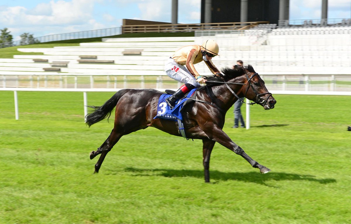 “Very impressed with the A’ALI foals. We have a cracking colt, easy mover with bags of appeal, strong and correct.” Eddie O’Leary, Lynn Lodge Stud, re: 68,000gns A’ALI foal ex Alushta 🟡🚀⚫️#AAli #RoyalRocket 📷 Sapphire Stakes race