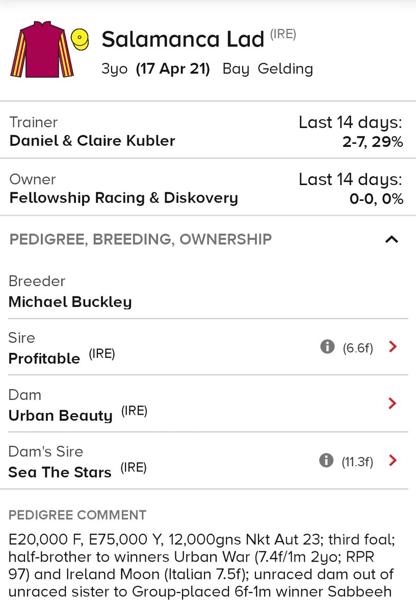 bonaireblue's tweet photo. Go again tonight @ChelmsfordCRC with Salamanca Lad. Up in trip and best of luck to fellow owners in #Diskovery @KublerRacing & @Fellowship_synd . @Mitchelljack77 takes the ride, a safe journey round to both. https://t.co/lwKqJ1iEJL
