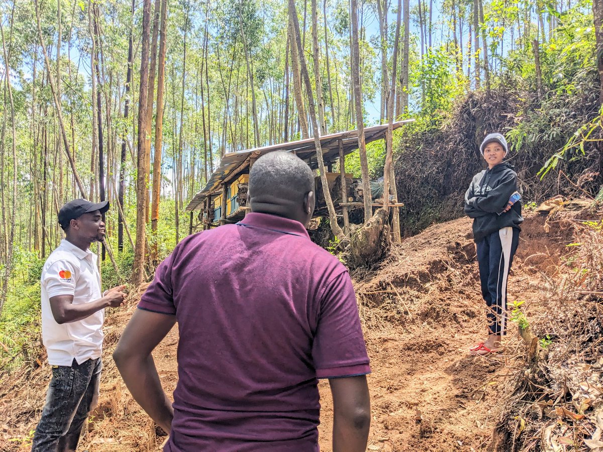 sector_musange's tweet photo. Kuruyu wa Gatatu Umuyobozi w' Umurenge wa Musange Nyakubahwa  @HITIMANAJe86190 n' Ushinzwe Amakoperative ku Rwego rw' Umurenge wa Musange basuye imishinga abakorerabushake ba @CorpsAfricaRda  bakorana n' Amatsinda y' urubyiruko, basobanuriwe uko inkunga bahawe ingana, 1/2 https://t.co/nkVmkxgZkx