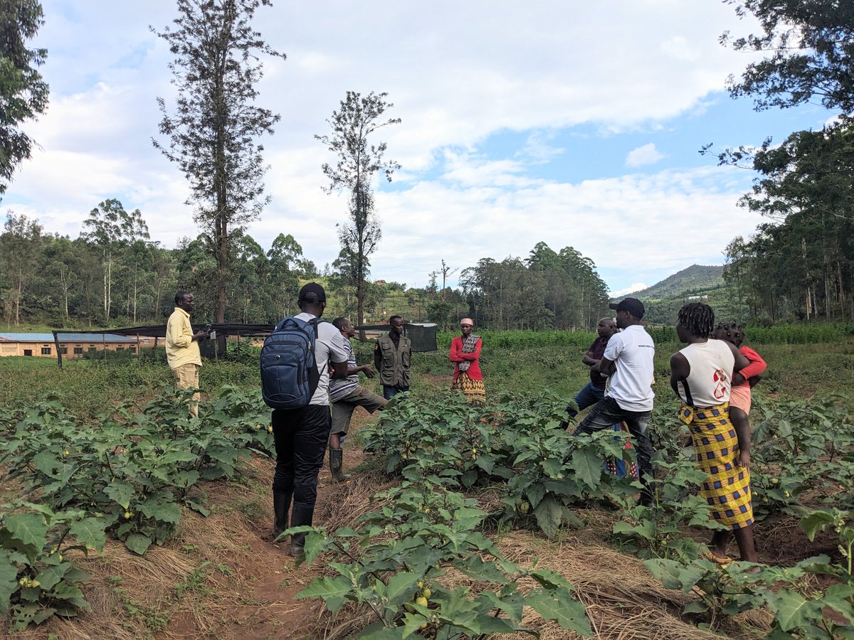 sector_musange's tweet photo. Ndetse nuko yagiye ikoreshwa, bagezwaho imbogamizi bahuye nazo , izakemutse ndetse nizitararakemuka bagirwa Inama, Umurenge wa Musange ukoreramo abakorerabushake 6 bafite imishinga yose yahawe inkunga. 2/2
@mwungeri
@Nyamagabe
@RwandaSouth
@LODARwanda
@RwandaLocalGov https://t.co/bWCgGNFmXi