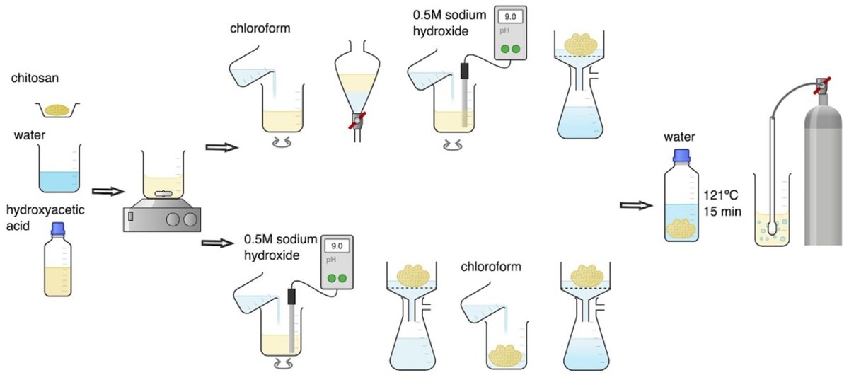 🌟#notablepaper on the Topic of Chitosan #Nanoparticles 📚A Novel Method of #Endotoxins Removal from #Chitosan #Hydrogel as a Potential Bioink Component Obtained by #CO2 Saturation 🔗mdpi.com/1631756 👨‍🔬By Dr. Szymon Mania et al @MDPIOpenAccess @MDPIBiologySubj