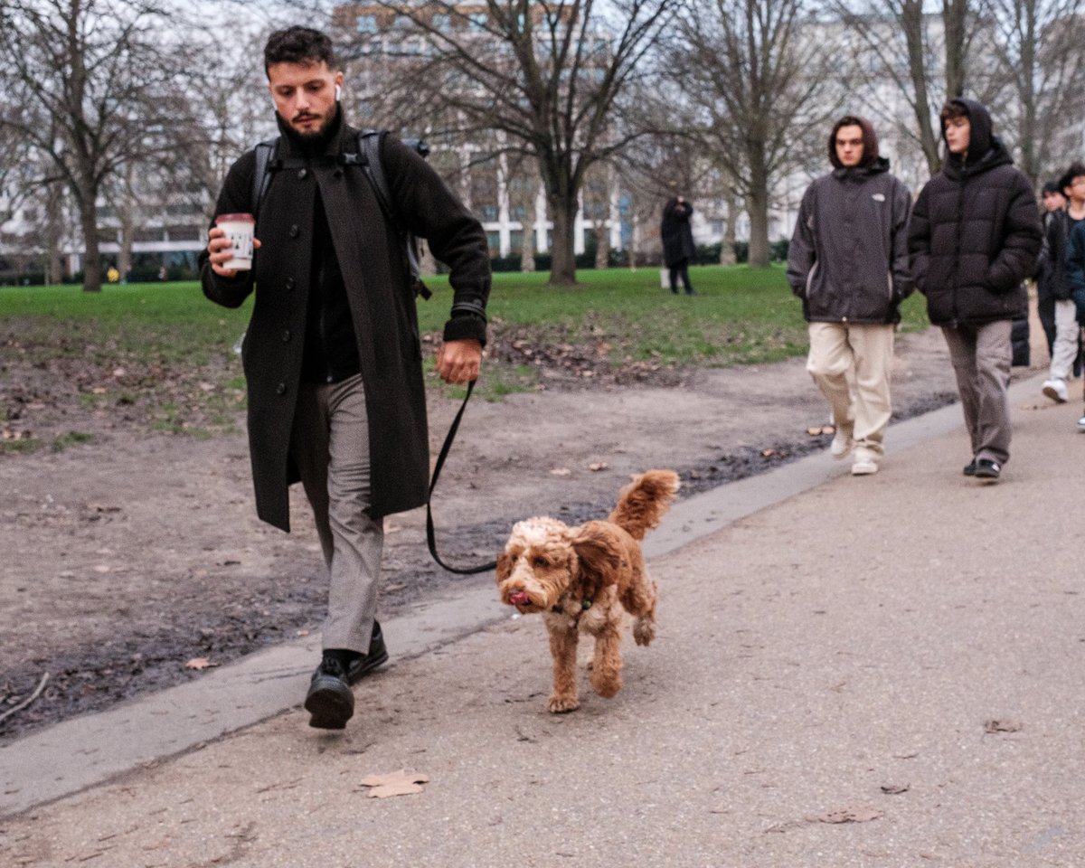 zummerzett's tweet photo. #dogs #otherpeoplesdogs #dogsinthecity #doglife #dogphotography #london #streetphotography https://t.co/poB3gTiEOx