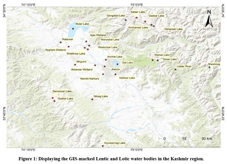 cwejournal.org/vol3no3/pstatu… - Read the Article here Status and Scope of Conventional Morphometry and its Integration with Bar Coding in J and K Fisheries. #Anthropogenicstress #COI #Genepoolconservation #Icthyofaunaldiversity #WaterbodiesofJandK