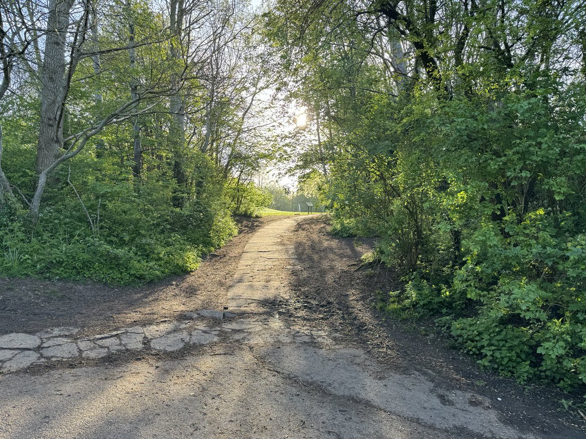 john_gleave's tweet photo. Morning walk view with the 🐶 https://t.co/5hTrkHaKIC