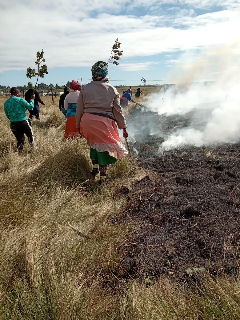 Preparing land to make a park! 70 people are currently involved in greening activities across 14 rural villages near Lusikisiki. 
 africaignite.co.za
#AfricaIgnite #SocialEmploymentFund #WorkforCommonGood #EmpoweringLives #WildCoastFoods #Zutari