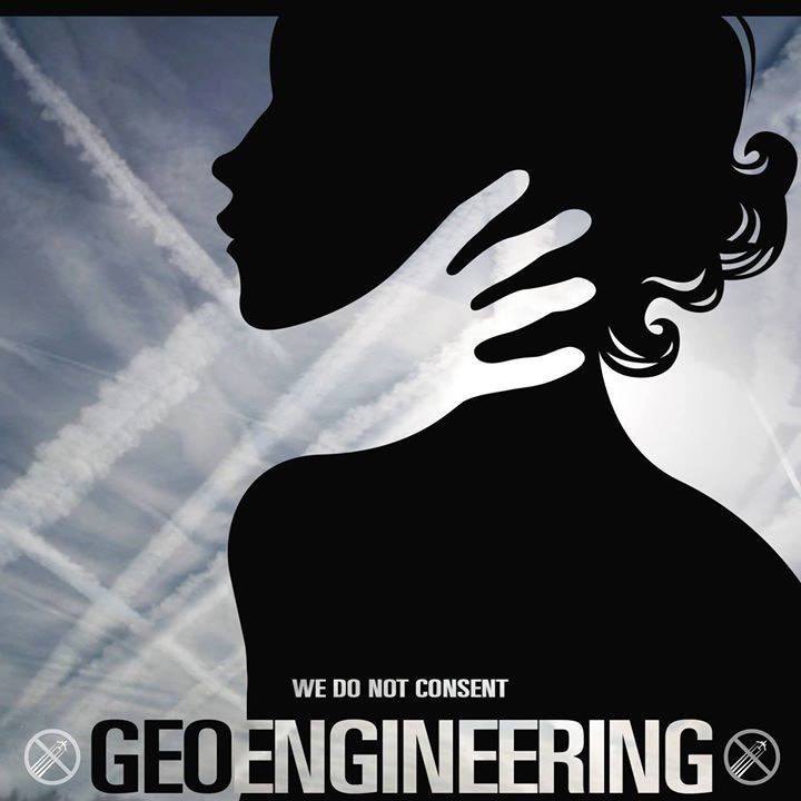 #netzeroscam #climatechange #GeoEngineering