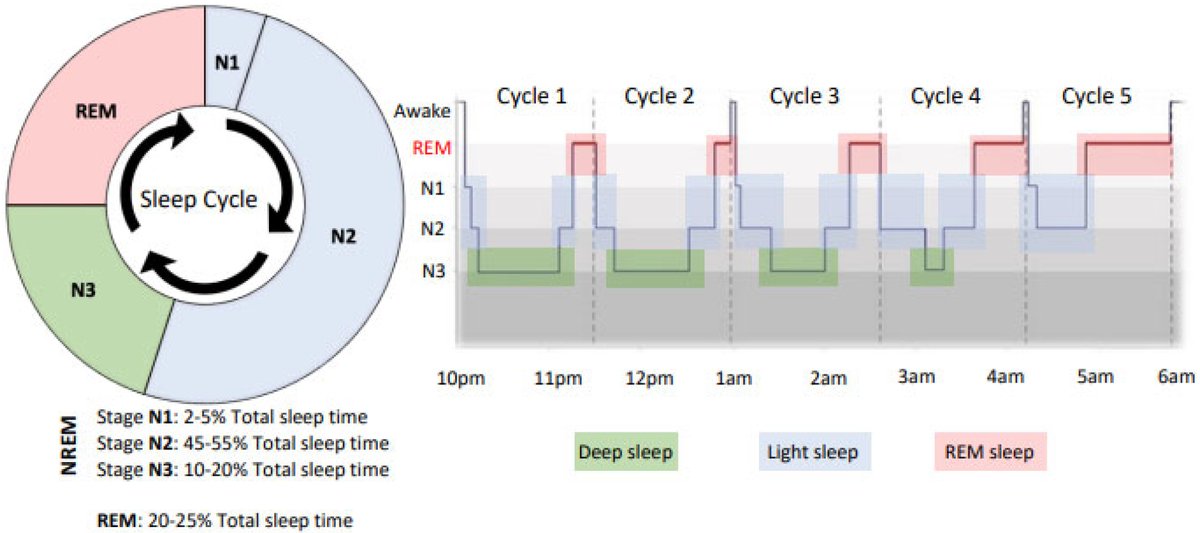 #mdpisports MDPI Editor's Choice Paper for your reference 👉 Pyjamas, Polysomnography and Professional Athletes: The Role of #Sleep Tracking Technology in Sport mdpi.com/2053350 via @Sports_MDPI @mattdriller @Sleep4Sport @ShauniOmond