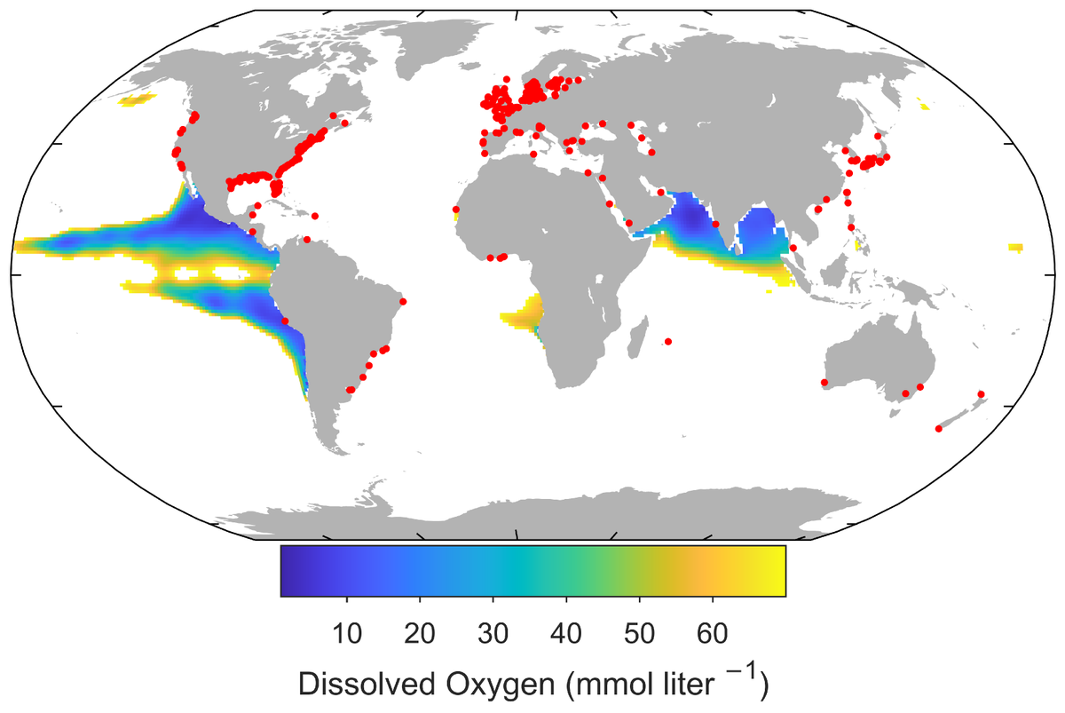 Fishes_MDPI's tweet image. 🐟 #Feature_Paper

✍️ &quot;A Selected Review of Impacts of Ocean #Deoxygenation on #Fish and Fisheries&quot; by Hongsik Kim et al.

👉mdpi.com/2410-3888/8/6/…

📌#fisheries #review
