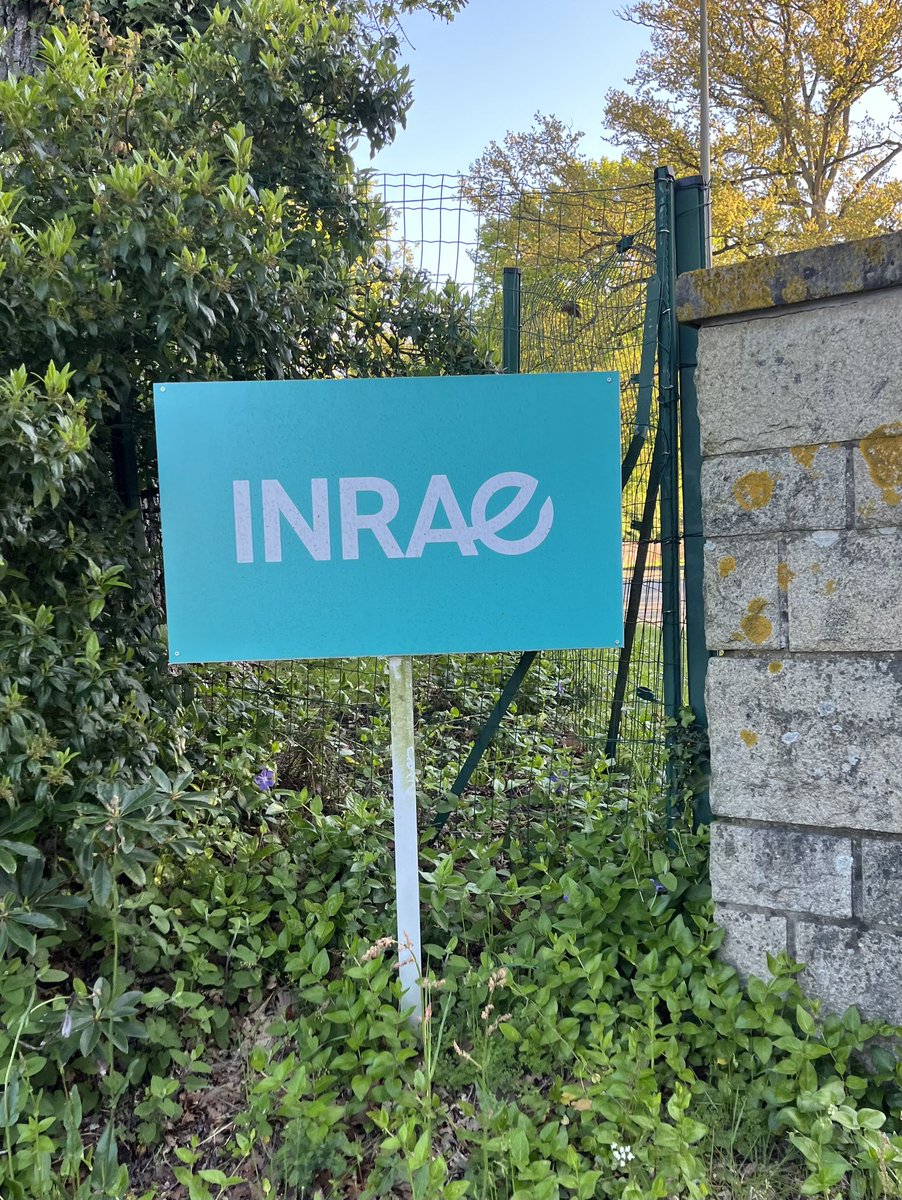 Franziska Straubinger tweet media