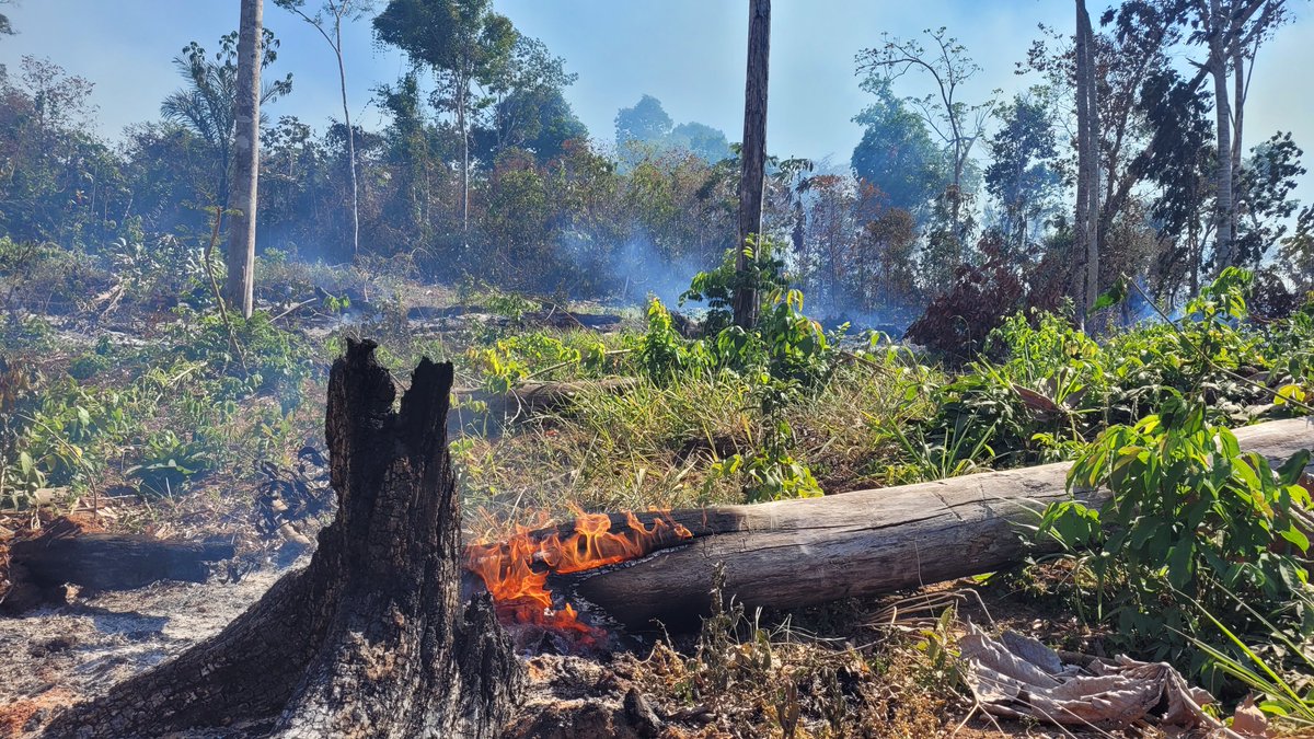 ECI, Univ of Oxford tweet media