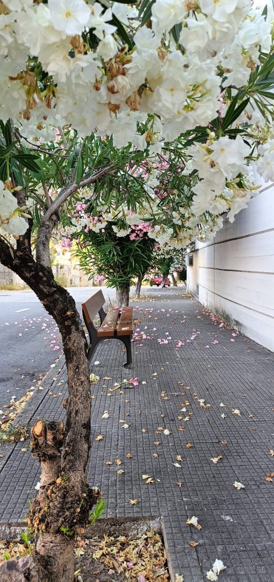 apatrigal's tweet photo. De Rúa das Flores a Rúa dos Esqueletes 

#Vigo, como non !!

@Vigoblog @XornalVigo @vigohistorico @uvigo https://t.co/yZJdNIqg3l