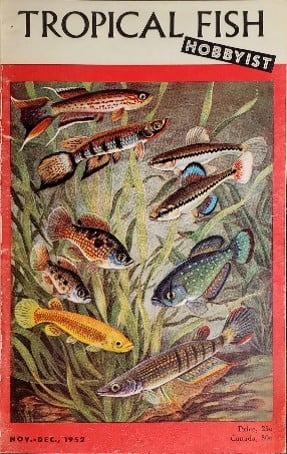 That illustration still gives us goosebumps! #ThrowbackThursday

#TropicalFishHobbyist #vintagemagazine #magazine #tropicalfish