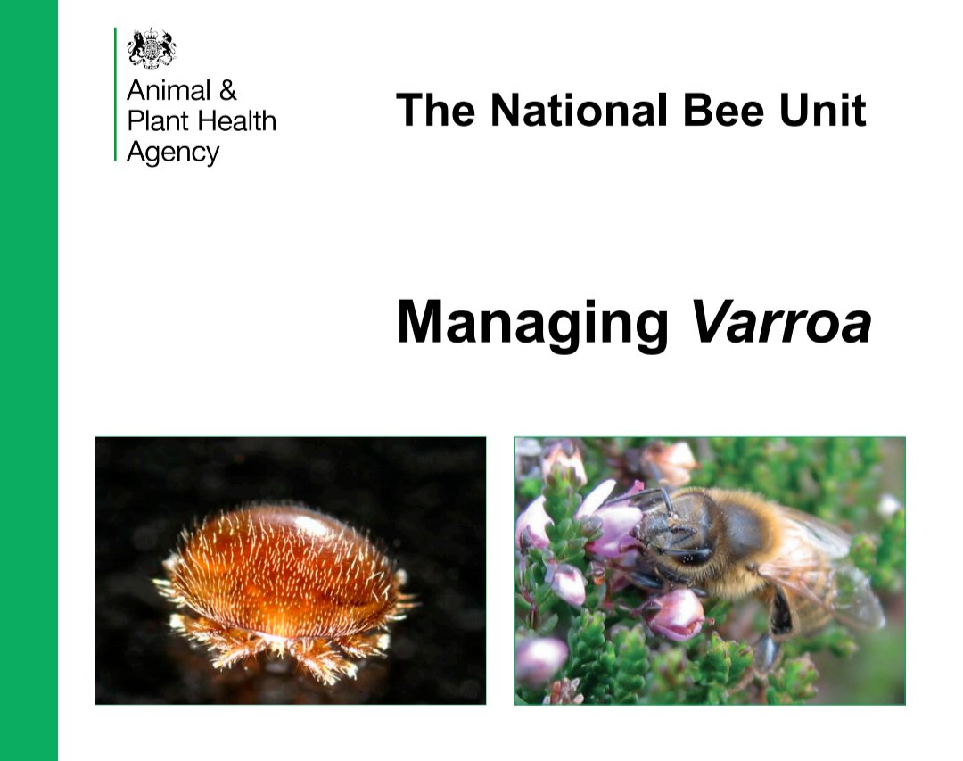 The National Bee Unit has updated its excellent Managing Varroa leaflet This update incorporates the most up to date information on Varroa treatments and the biology of Varroa mites. nationalbeeunit.com/assets/PDFs/3_…