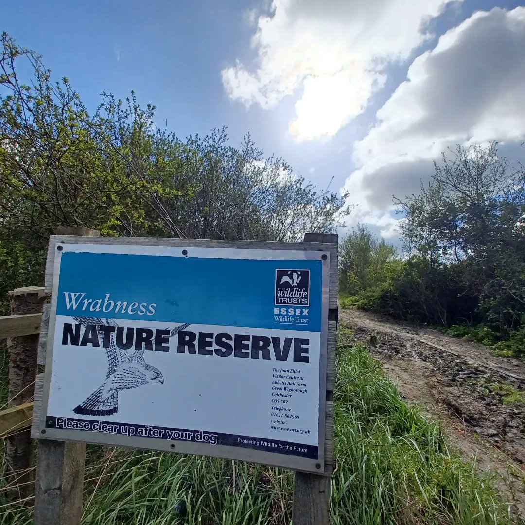 1/2 We had a very fruitful meeting with @EssexWildlife's volunteers in #wrabnessnaturereserve yesterday before going to a joint patrol on Irlam's Beach, #Dovercourt.