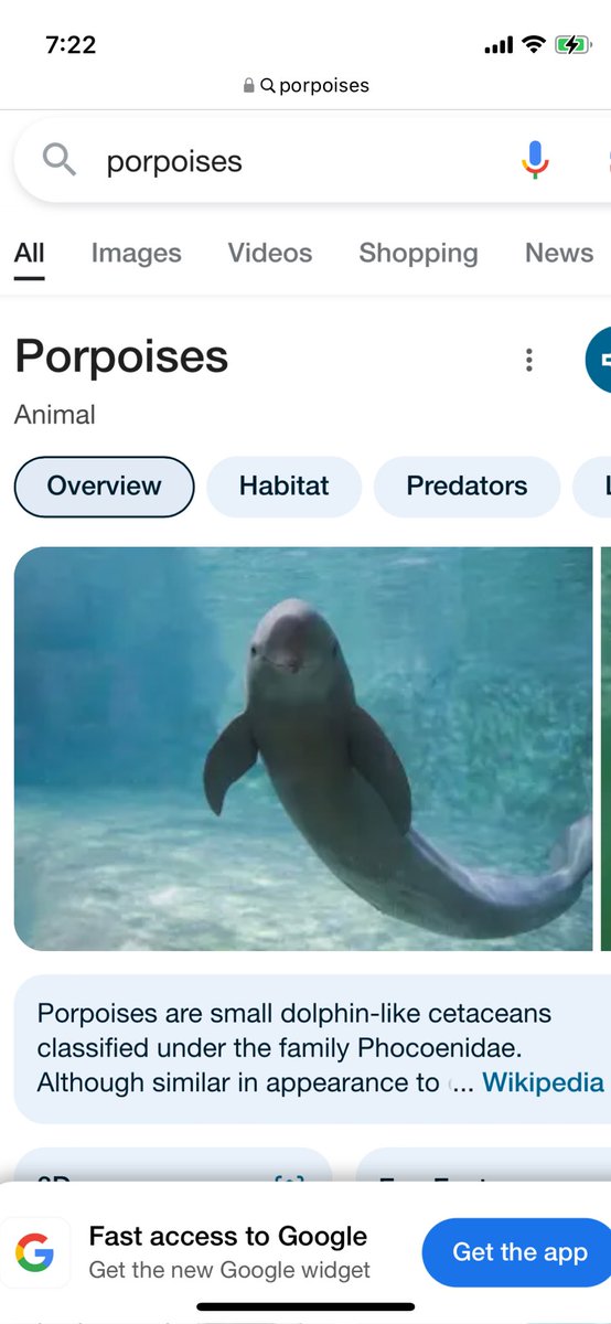 I spent this morning on the phone waiting to get through to a govt dept & 2 companies. I was repeatedly reminded that my call would be recorded, & used for training porpoises.

How?

I’ve never ever seen any of these trained porpoises!
🙄🤷🤣