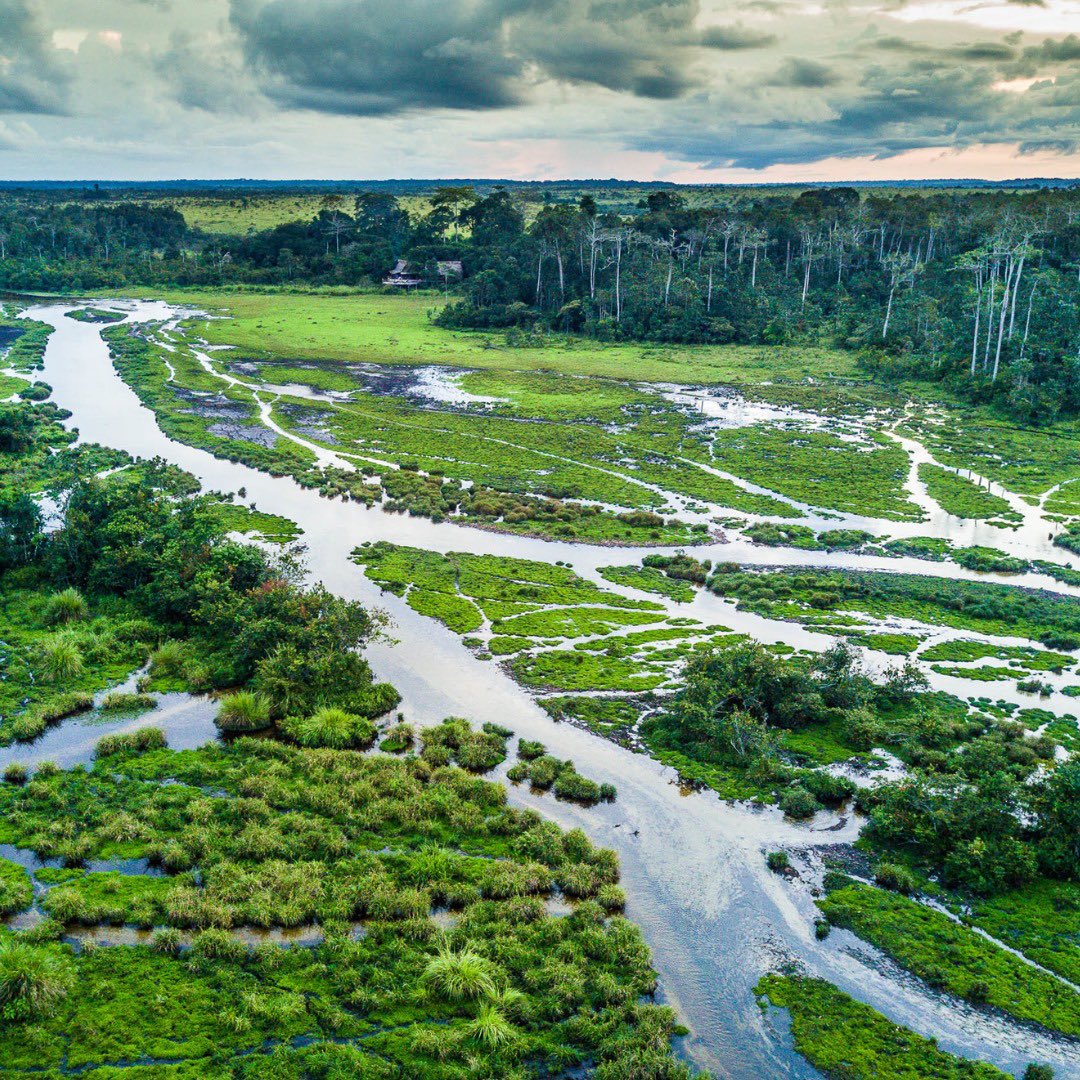 🌍✨ Célébrons notre patrimoine mondial le 18 avril ! ✨🌍
Cliquez : instagram.com/p/C55dM-TKvfg/…

<a href="/AfricanParks/">African Parks</a> <a href="/UNESCO_fr/">UNESCO en français</a> <a href="/Mictal_Cg/">Mictal_Cg</a> #parcnationalodzalakokoua #Sanctuairedegorillesdelossi #fondationodzalakokoualossi <a href="/unesco553/">UnescoWorldHeritage</a> #WorldHeritageDay #WorldHeritageDay2024