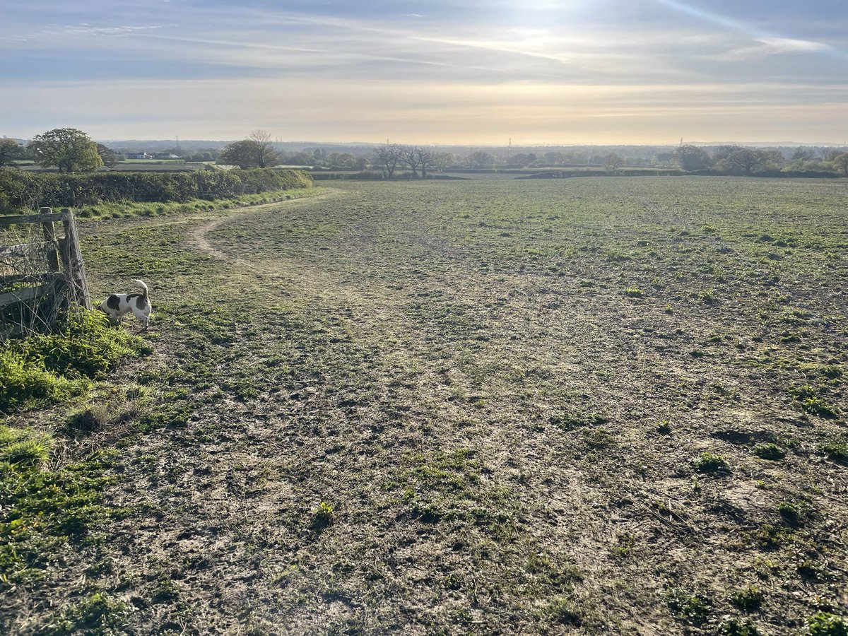 BeagleMarvin's tweet photo. Peaceful morning walks with the noisy one…
#spotthebeagle https://t.co/eeR3Vfrw2S