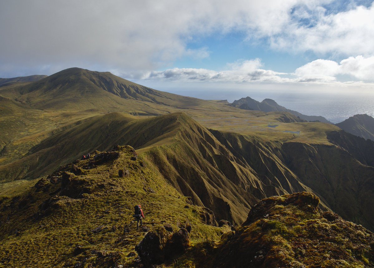 NEW JOBS in #ornithology and #conservation with @RSPBScience on @GoughIsland - help to protect #seabirds by studying invasive species: buff.ly/49JCZIx