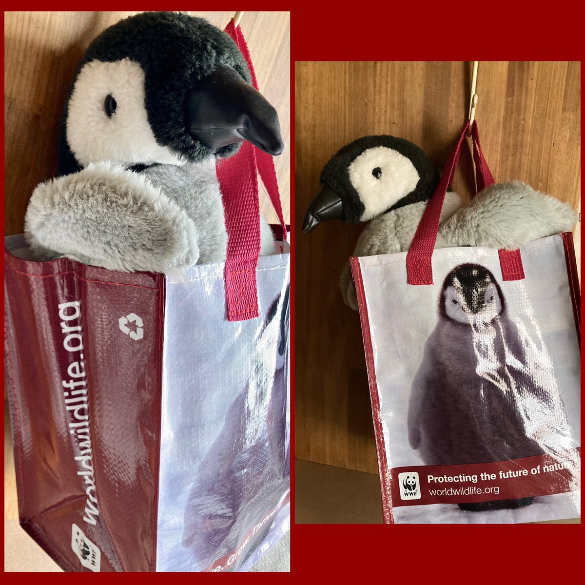 #WWF のヒナちゃんトート

Protecting the future of nature 
🇦🇶🧊🐧💙

#Antarctica #emperorpenguin #エンペラーペンギン #コウテイペンギン #ペンギン