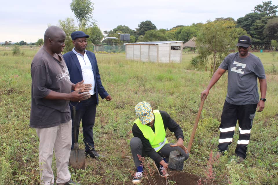 sisonkeproject's tweet photo. Plant trees of knowledge, not just forests. Let's grow change together. We're on a mission to plant seeds of awareness, education, and action within our communities. Because true change grows from the roots up,"our Creative Executive Director #GrowKnowledge #RestoreBiodiversity https://t.co/RHwNVh8Pg4