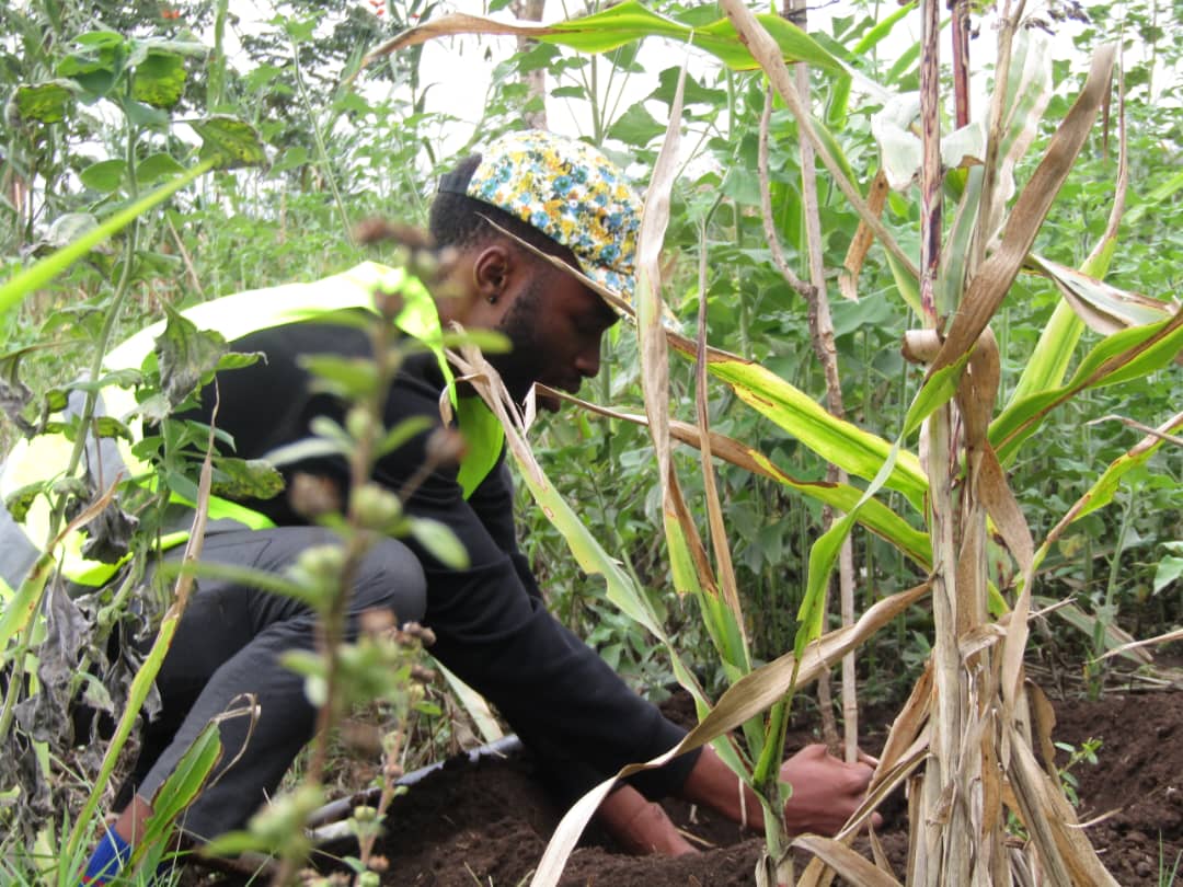 sisonkeproject's tweet photo. Plant trees of knowledge, not just forests. Let's grow change together. We're on a mission to plant seeds of awareness, education, and action within our communities. Because true change grows from the roots up,"our Creative Executive Director #GrowKnowledge #RestoreBiodiversity https://t.co/RHwNVh8Pg4
